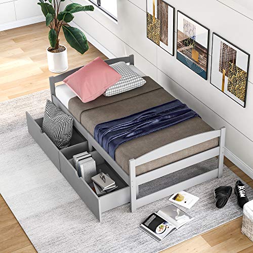 Lifeand Twin Size Daybed with 2 Drawers,Wood Storage Platform Bed for Kids Teens and Adults,No Box Spring Needed,Gray