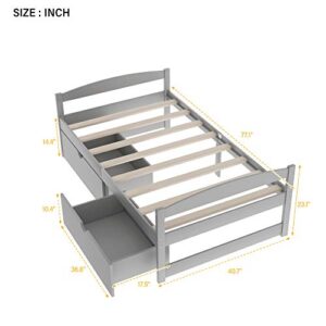 Lifeand Twin Size Daybed with 2 Drawers,Wood Storage Platform Bed for Kids Teens and Adults,No Box Spring Needed,Gray