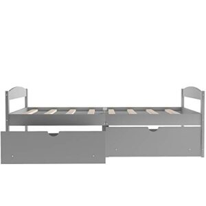 Lifeand Twin Size Daybed with 2 Drawers,Wood Storage Platform Bed for Kids Teens and Adults,No Box Spring Needed,Gray