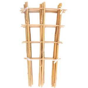 avalution 10 pack bamboo trellis for climbing plants 16" natural garden ladder trellis, fan -shaped plant support trellis for potted plant decor