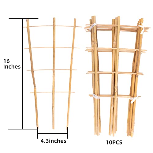 Avalution 10 Pack Bamboo Trellis for Climbing Plants 16" Natural Garden Ladder Trellis, Fan -Shaped Plant Support Trellis for Potted Plant Decor