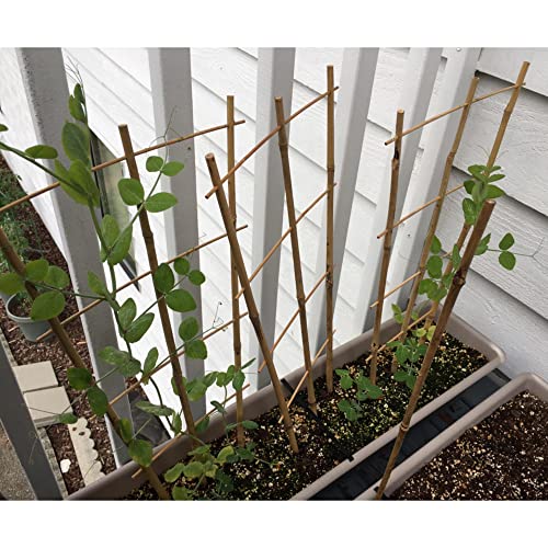 Avalution 10 Pack Bamboo Trellis for Climbing Plants 16" Natural Garden Ladder Trellis, Fan -Shaped Plant Support Trellis for Potted Plant Decor