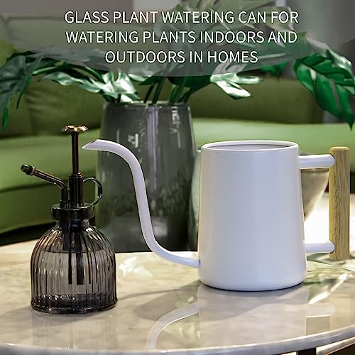 Watering can Indoor Plants,Indoor Watering Can for Plant,35 oz/1000 ml Stainless Steel Watering can Long Spout with Small Vintage Glass Plant Spray Bottle(White)