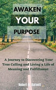 awaken your purpose: a journey to discovering your true calling and living a life of meaning and fulfillment
