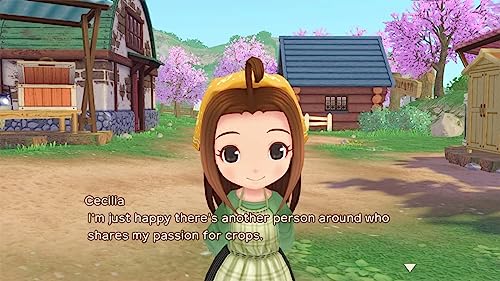 Story of Seasons: A Wonderful Life - Nintendo Switch