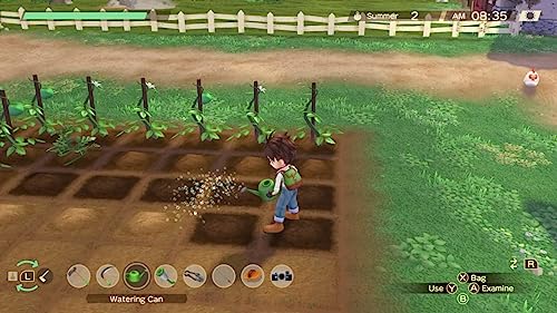 Story of Seasons: A Wonderful Life - Nintendo Switch