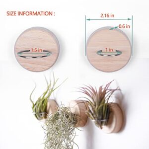 MITIME Air Plants Holders-Real Wood Live Air Plant Holders.Rustic Air Plant Stand,Wall-mounted to save space.(Plants not included)(Set of 6)