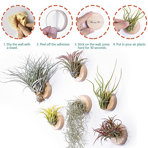 MITIME Air Plants Holders-Real Wood Live Air Plant Holders.Rustic Air Plant Stand,Wall-mounted to save space.(Plants not included)(Set of 6)