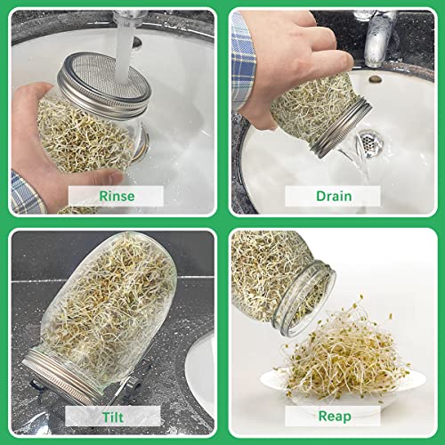 VUAOHIY Sprouting Kit, 2 Wide Mouth Mason Jars, Sprouts Growing Kit Growing Jar with Mesh Screen Lids for Growing Broccoli, Mung Bean, Alfalfa