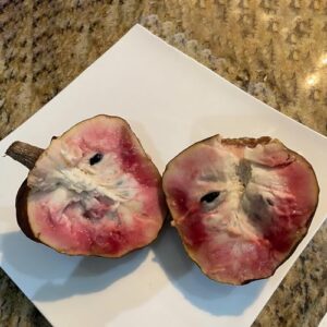 QAUZUY GARDEN 10 Sugar-Apple Seeds, Annona Squamosa Seeds, Custard Apple Seeds, Sweetsops, Grow Your Own Prolific Perennial Tropical Exotic Fruit Tree Plant