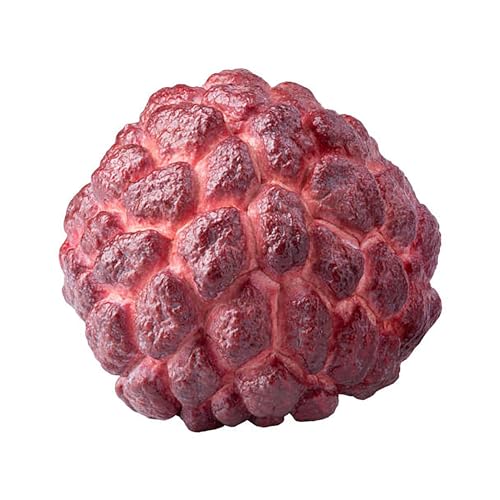 QAUZUY GARDEN 10 Sugar-Apple Seeds, Annona Squamosa Seeds, Custard Apple Seeds, Sweetsops, Grow Your Own Prolific Perennial Tropical Exotic Fruit Tree Plant