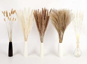 dolicer 80 pcs dried pampas grass, 17'' pampas grass decor, natural pampas boho flowers bouquet white pampas grass brown pampas reed pampas bunny tail boho decor for home wedding farmhouse