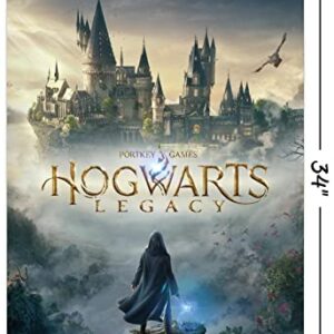 Trends International Harry Potter: Hogwarts Legacy - Key Art Wall Poster, 22.37" x 34.00", Unframed Version