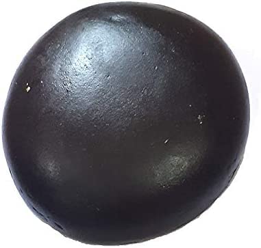 Ram Ratan Kendra Shaligram Shila | Nepal Gandaki River Saligram Stone | 1.5 Inch (Shaligram Shila 100-150 gm).by DHAMA Export