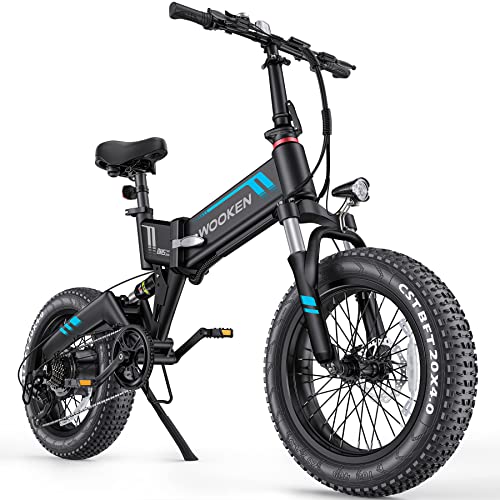 TotGuard Electric Bike,20" x4.0 Fat Tire Electric Bike for Adults,500W 20MPH Foldable Ebike,48V 10Ah Removable Battery, Snow Beach Mountain Electric Bicycle with Dual Shock Absorber, Shimano 7-Speed