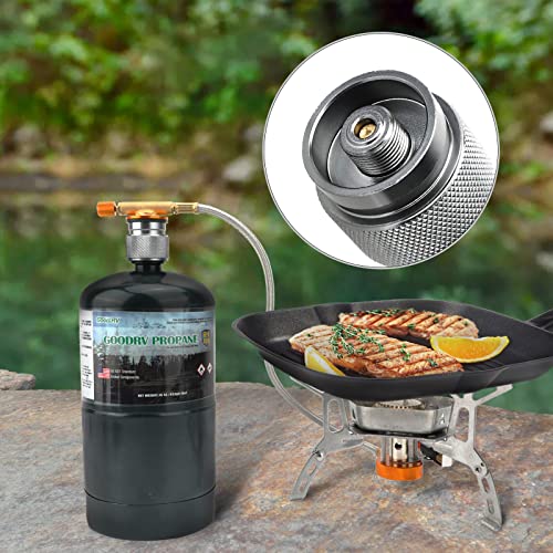 SAN LIKE Camping Stove Adapter 0.2lb Propane Adapter Small Tank Input and Lindal Valve EN417 Output Gas Adapter Converter Outdoor Cylinder LPG Canister Convert