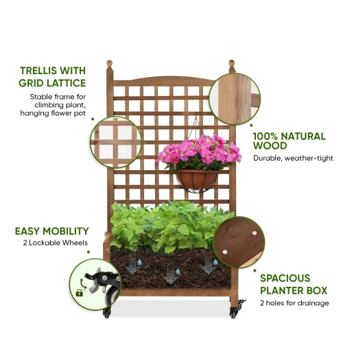 Idzo Raised Garden Bed with Trellis, Durable Oil Coated Planter with Trellis, 50 Inches Height Vertical Gardens Outdoors with Lockable Wheels and Convenient Non Woven Lining