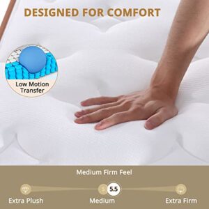 BedStory 14" Hybrid King Mattress in a Box, Gel Memory Foam Mattress with Pocket Spring, Medium Firm Mattress with Dual Brim Design for Supportive&Pressure Relieving&Motion Isolated Sleep, Made in USA