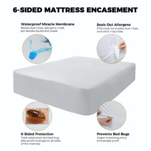 MATTSHIELD New Ultimate Bed Bug Defense 3-Piece Kit - California King Mattress Cover 100% Cotton + 2 Hypoallergenic Zippered Pillow Protectors - 6 Sides Waterproof Encasement