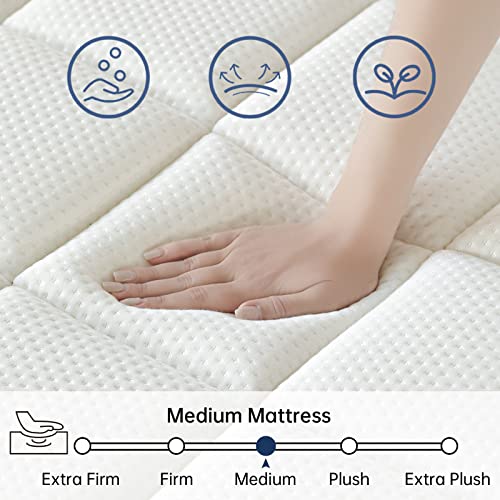 SUAYEA King Mattress, King Size Mattress in a Box, 10 Inch Hybrid Mattress King Size, Ultimate Motion Isolation with Gel Memory Foam and Pocket Spring, Medium Firm Mattress, Edge Support