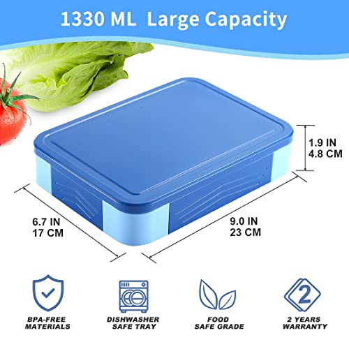 LOVINA Bento Box for Adult Kids, Stylish Teens Adult Lunch Box Containers With 5 Compartments, Durable, Microwave/Dishwasher Safe, BPA-Free, Perfect for On-the-Go Meal(Blue)