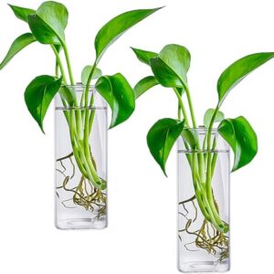 Fasmov 6 Pack Wall Hanging Glass Planters Plant Terrarium, Plants Holders Air Plants Succulents Planters Flowers Glass Wall Vase Containers for Plant, Decoration and Display, Square Vase, Clear