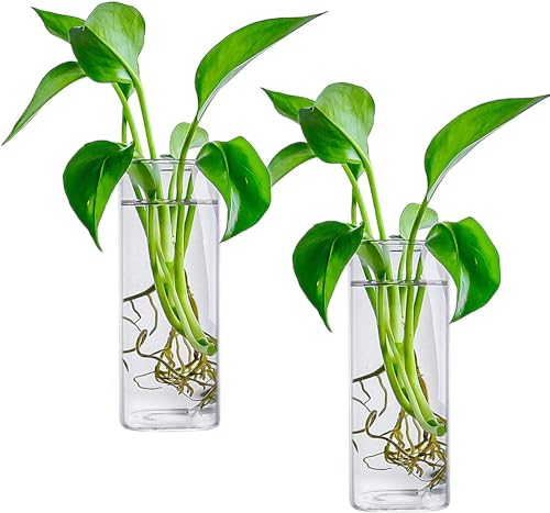 Fasmov 6 Pack Wall Hanging Glass Planters Plant Terrarium, Plants Holders Air Plants Succulents Planters Flowers Glass Wall Vase Containers for Plant, Decoration and Display, Square Vase, Clear