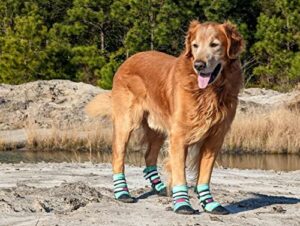 all weather neoprene paw protector dog boots with reflective straps in 5 sizes! (turquoise large)