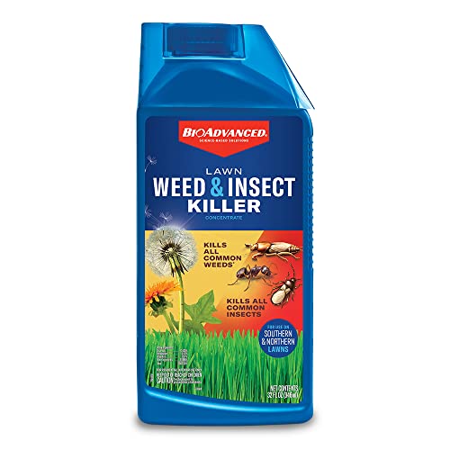 BioAdvanced Lawn Weed and Insect, Concentrate, 32 FOZ