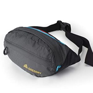 Gregory Mountain Products Nano WAISTPACK