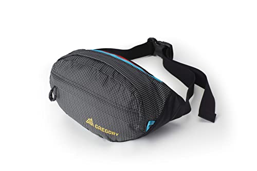 Gregory Mountain Products Nano WAISTPACK