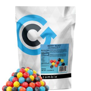 Dubble Bubble Berry Blast 1" Gumballs by Cambie | 2 lbs of Mixed Berry Gumballs | Deliciously Sweet, Hot & Nostalgic | Perfect for Gumball Machines | Packaged in a Resealable Stand Up Pouch | 2 lb