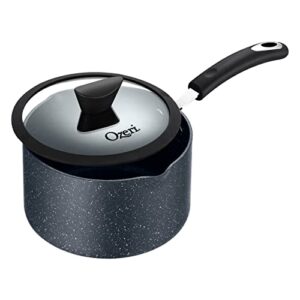 The All-In-One Stone Saucepan and Cooking Pot by Ozeri - 100% APEO, GenX, PFBS, PFOS, PFOA, NMP and NEP-Free German-Made Coating