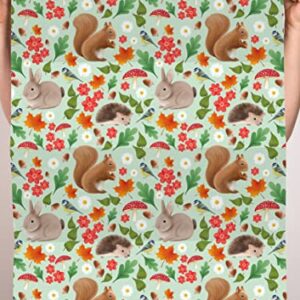 CENTRAL 23 Woodland Creatures Wrapping Paper - 6 Sheets Thick Gift Wrap For Birthday - Baby Shower Wrapping Paper Girl Or Boy - Comes With Fun Stickers