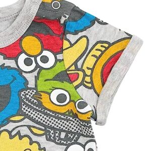 Sesame Street Bert and Ernie Oscar the Grouch Big Bird Infant Baby Boys Romper and Hat Gray 12 Months