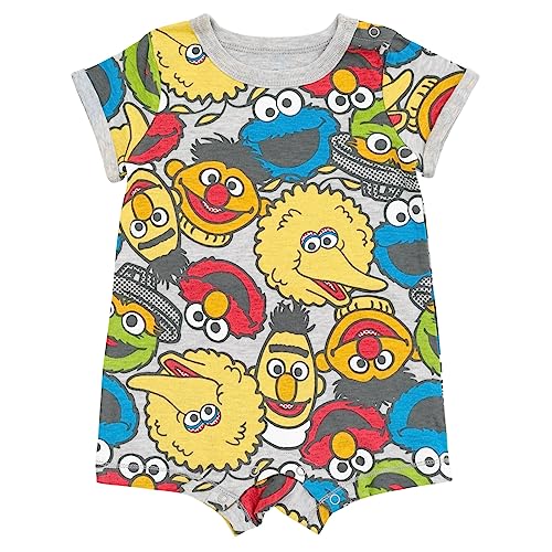Sesame Street Bert and Ernie Oscar the Grouch Big Bird Infant Baby Boys Romper and Hat Gray 12 Months