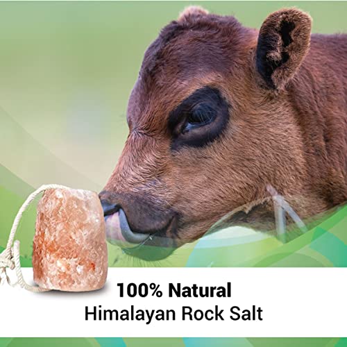 Yield Titan Himalayan Pink Salt 7 LB fof 2pcs, Salt Licks for Animals Licking Block for Horses, Cows, Deer, and Other Livestock - Rope Included (2 Qty)