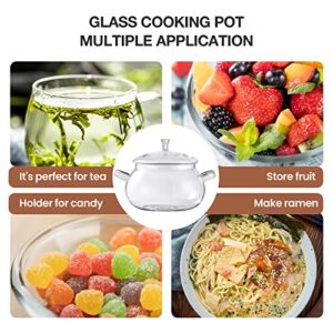 Glass Cookware Glass Pot, 2.5 Quart Glass Saucepan Simmer Pot With Lid, Microwave, Stove and Dishwasher Safe Borosilicate Glass pitcher