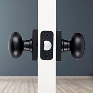 BRINKS – 6-Pack Matte Black Contemporary Indoor Passage Square Door Knob – Hall/Closet 6 Pack Matte Black Exterior Plate Doorknob