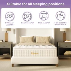 NapQueen Cashmere, 14" Queen Hybrid of Memory Foam and Edge Support Pocket Coils, Pillow Top Mattress