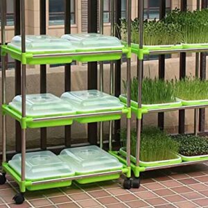 JMESTOHP 3 Layers Seed Sprouting Kit for Seed Sprouter Tray BPA Free for Alfalfa Sprouts Wheatgrass Grower Sprouting, Stainless Steel Shelf for Seed Sprouting Tray