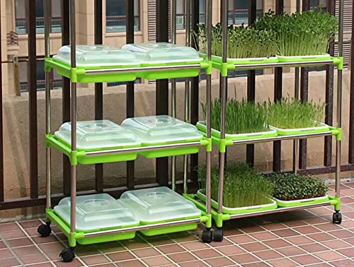 JMESTOHP 3 Layers Seed Sprouting Kit for Seed Sprouter Tray BPA Free for Alfalfa Sprouts Wheatgrass Grower Sprouting, Stainless Steel Shelf for Seed Sprouting Tray
