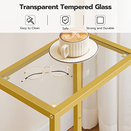 HOOBRO Tall Side Table, Morden Tempered Glass End Telephone Table with Adjustable Mesh Shelves, Small Entryway Table, Laptop Table for Office, Hallway, Living Room, Gold GD03DH01