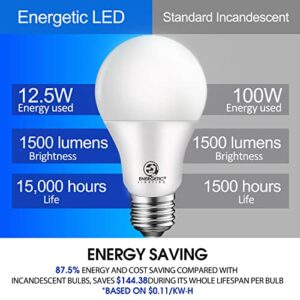 Energetic 6-Pack Dimmable LED Light Bulbs 100 Watt Equivalent, 1500 Lumens 12.5W, Warm White 3000K, E26 LED Bulb, 15000 Hrs, UL Listed