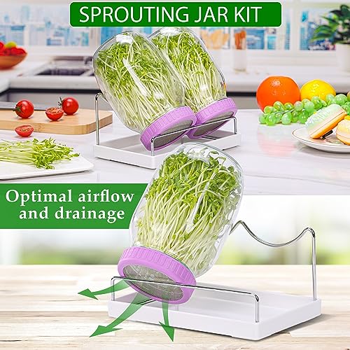 EOUOBOMO Sprouting Kit,Sprouting Jar Kit,Sprouts Growing Kit w.Wide Mouth Mason Jar,316 Screen Lid, Stand,Tray and Blackout Sleeves,Seed Sprouting Kit for Growing Broccoli, Alfalfa