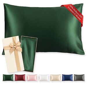 100% pure mulberry silk pillowcase for hair and skin with hidden zipper - 22 momme premium 6a grade, 600 thread count, silk pillow cases standard size 20"x26" (dark green, 1pc, with gift box)