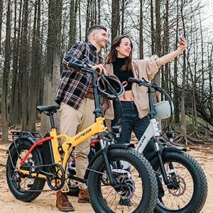 Hipeak Bona Electric Bike for Adults, Ebike 750W/48V/15Ah, 20" x 4.0" Fat Tire Electric Bike Folding with Removable Battery, Step-Over Folding Adult Electric Bicycles Front Shock Absorber