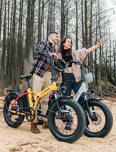 Hipeak Bona Electric Bike for Adults, Ebike 750W/48V/15Ah, 20" x 4.0" Fat Tire Electric Bike Folding with Removable Battery, Step-Over Folding Adult Electric Bicycles Front Shock Absorber