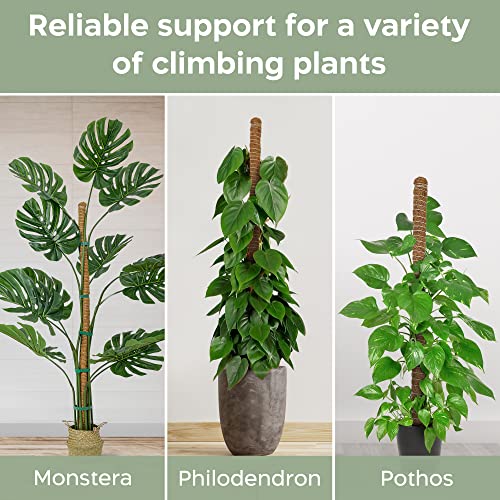 K-Brands 2 Pack Moss Pole - 46'' Monstera Plant Support - Moss Pole for Plants Monstera - Moss Poles for Climbing Plants - Bendable Plant Sticks Support - Plant Stakes for Indoor Plants