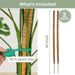 K-Brands 2 Pack Moss Pole - 46'' Monstera Plant Support - Moss Pole for Plants Monstera - Moss Poles for Climbing Plants - Bendable Plant Sticks Support - Plant Stakes for Indoor Plants